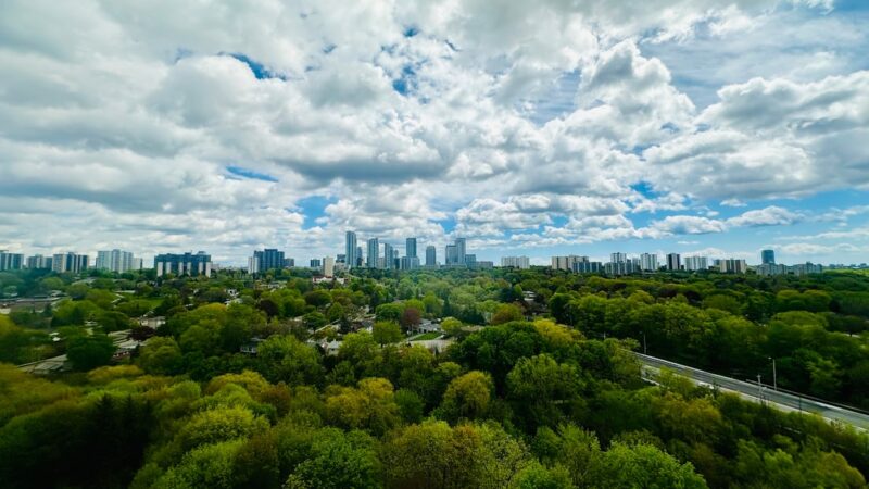 Kaip miestuose susidaro vėsaus oro salos ir kodėl jos svarbios klimato kaitos akivaizdoje