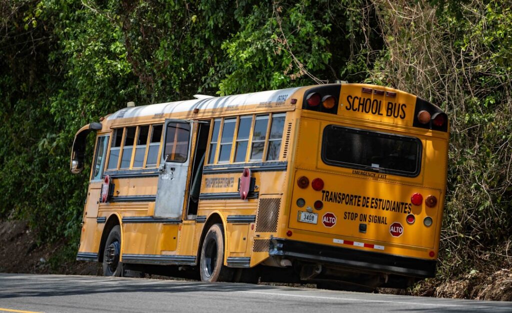 A school bus that is sitting on the side of the road