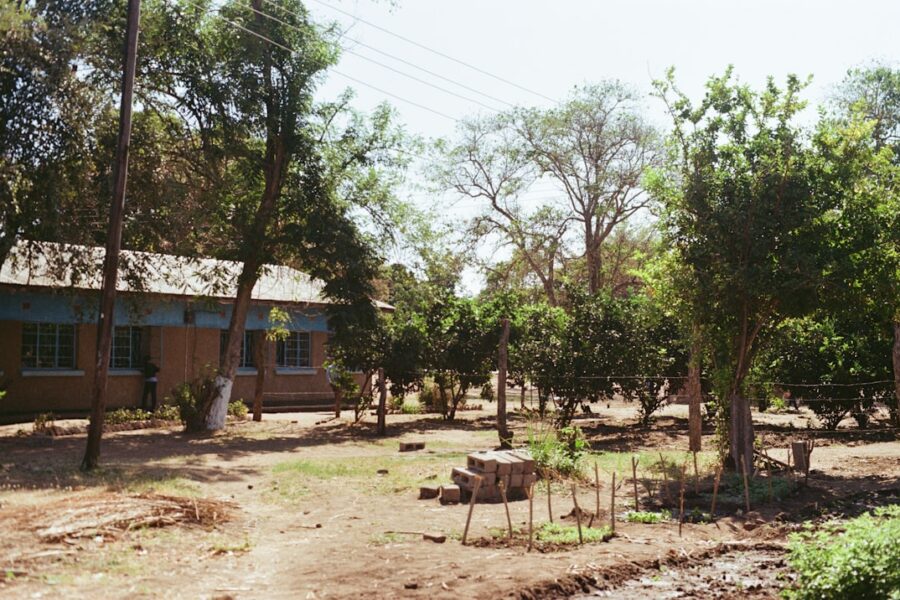 A building surrounded by trees and foliage