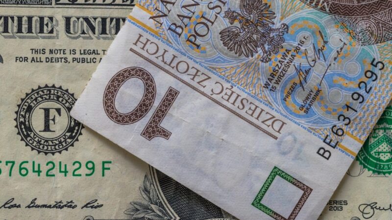 Žaliosios obligacijos tampa prieinamos ir smulkiems investuotojams: kaip įvertinti riziką ir naudą
